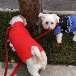 Meet your Posher, Jenny